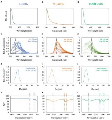 Unraveling the potential of graphene quantum dots against Mycobacterium tuberculosis infection